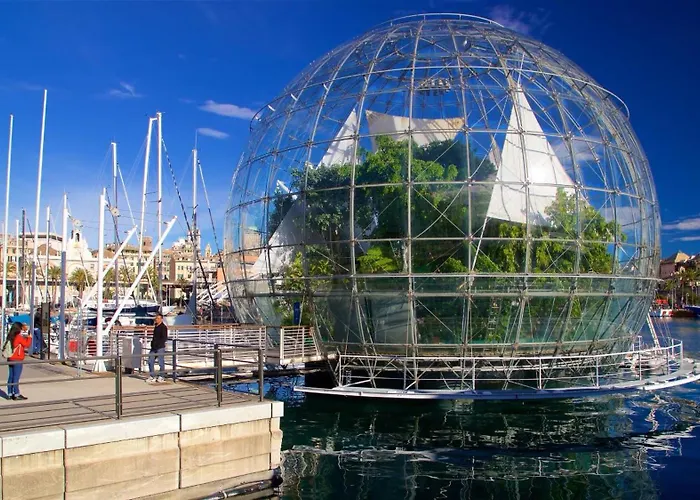 The First Colombo Brignole Xx Settembre